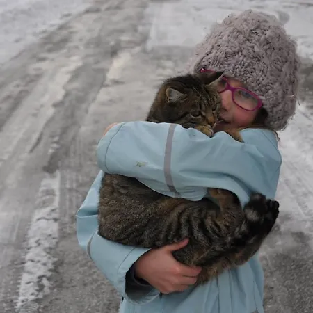 Obersteffengut * Wagrain