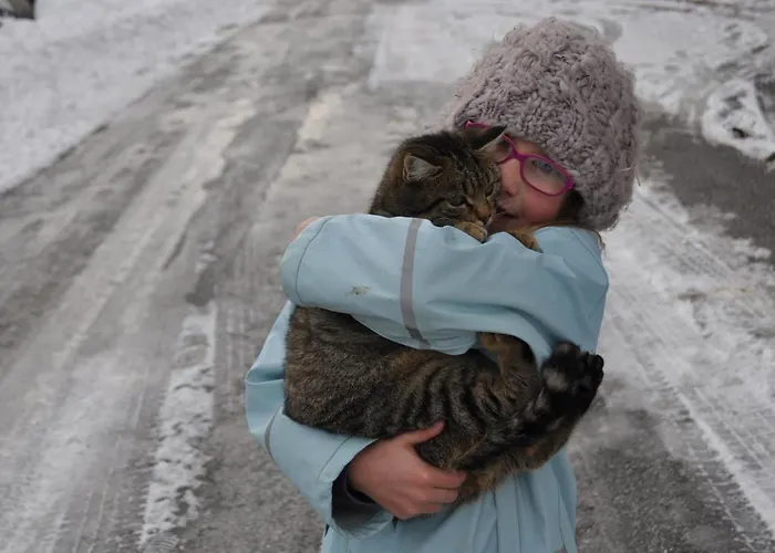 Obersteffengut * Wagrain