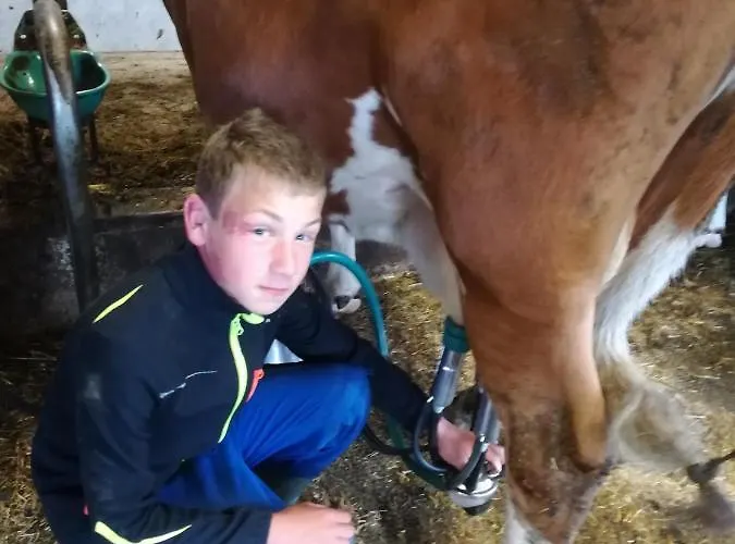 Appartement Obersteffengut *