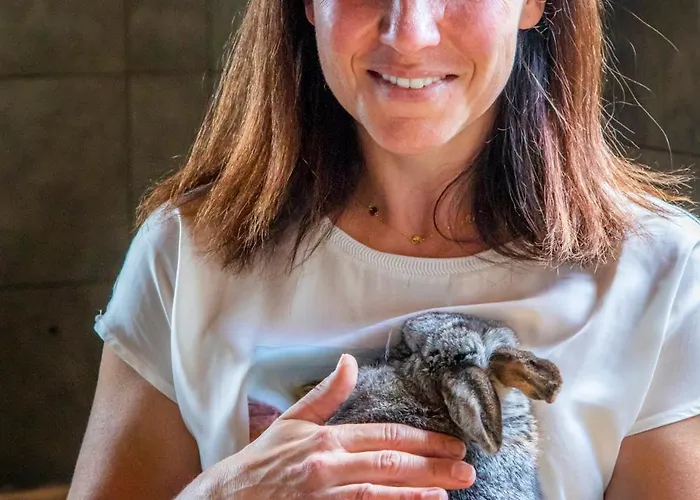 Appartement Obersteffengut *