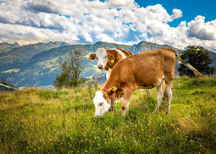 Obersteffengut Appartement